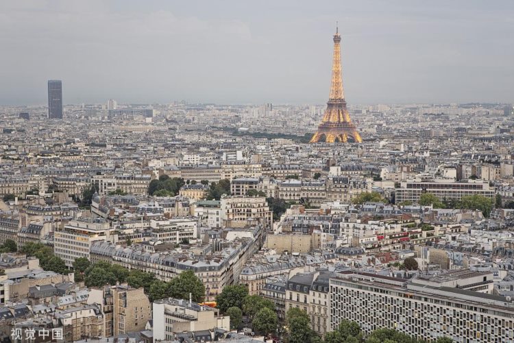 巴黎绿化率仅10%，环保人士批政府砍树与植绿计划背道而驰